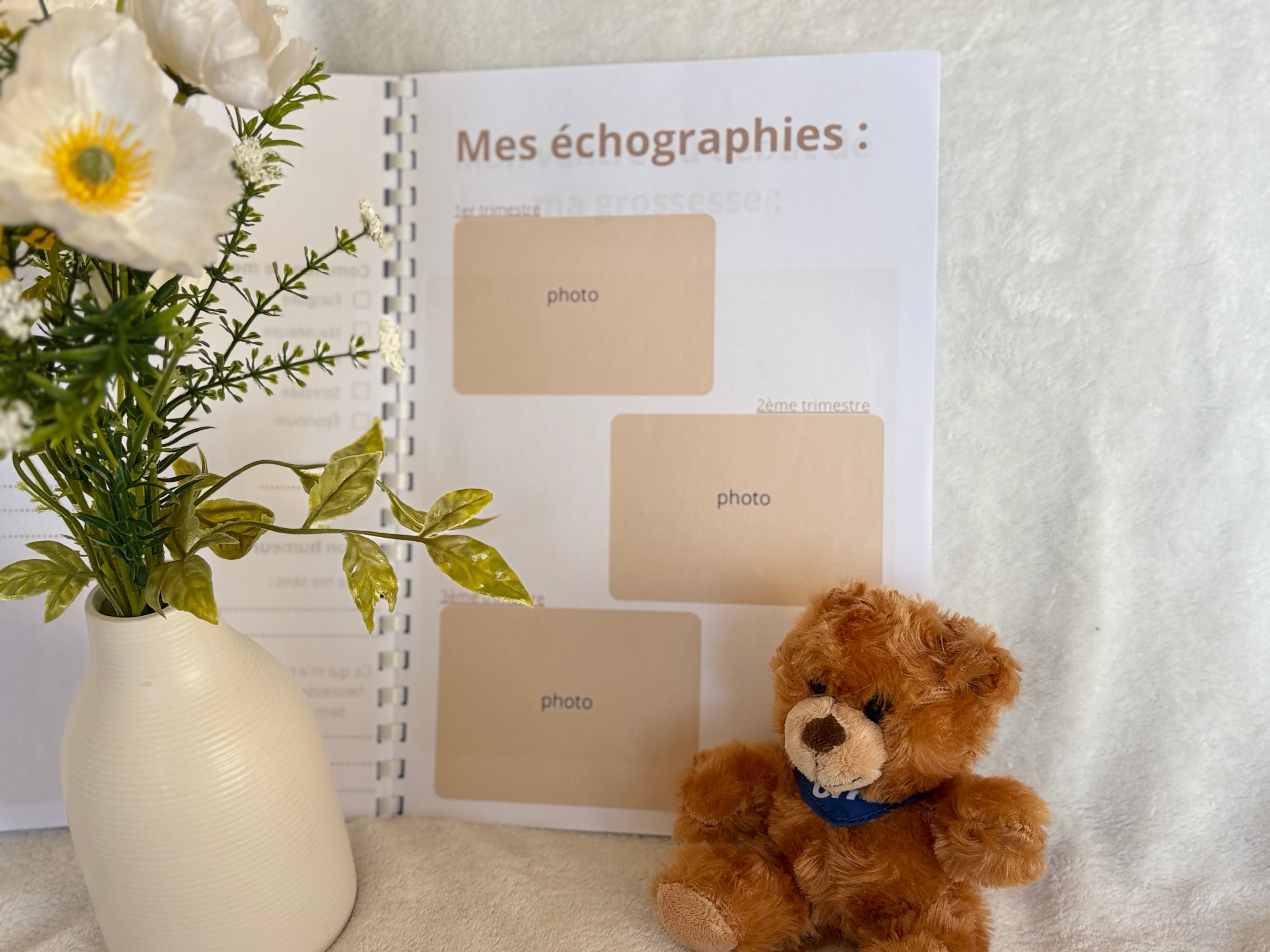 Journal de grossesse