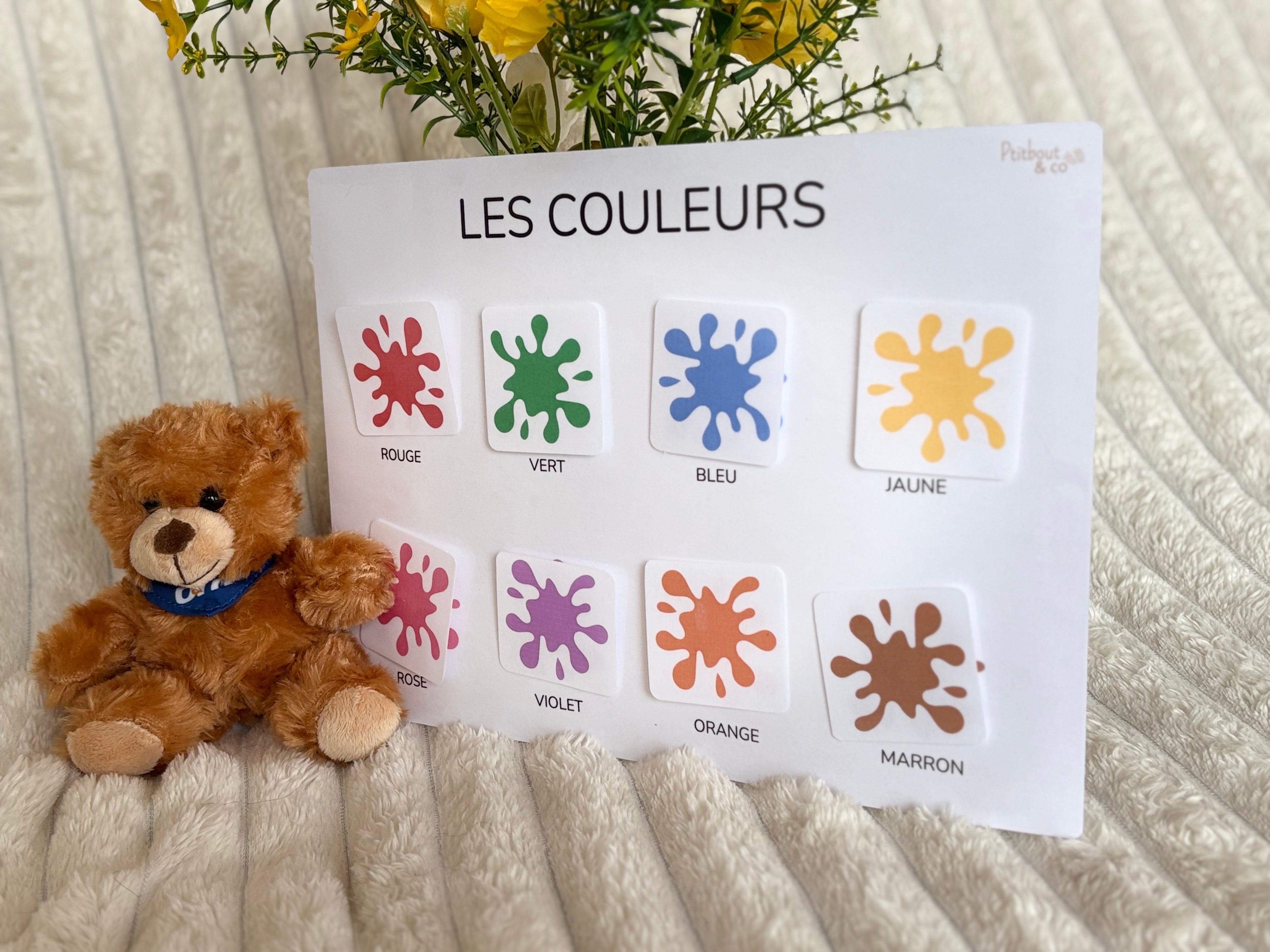 Support éducatif des couleurs