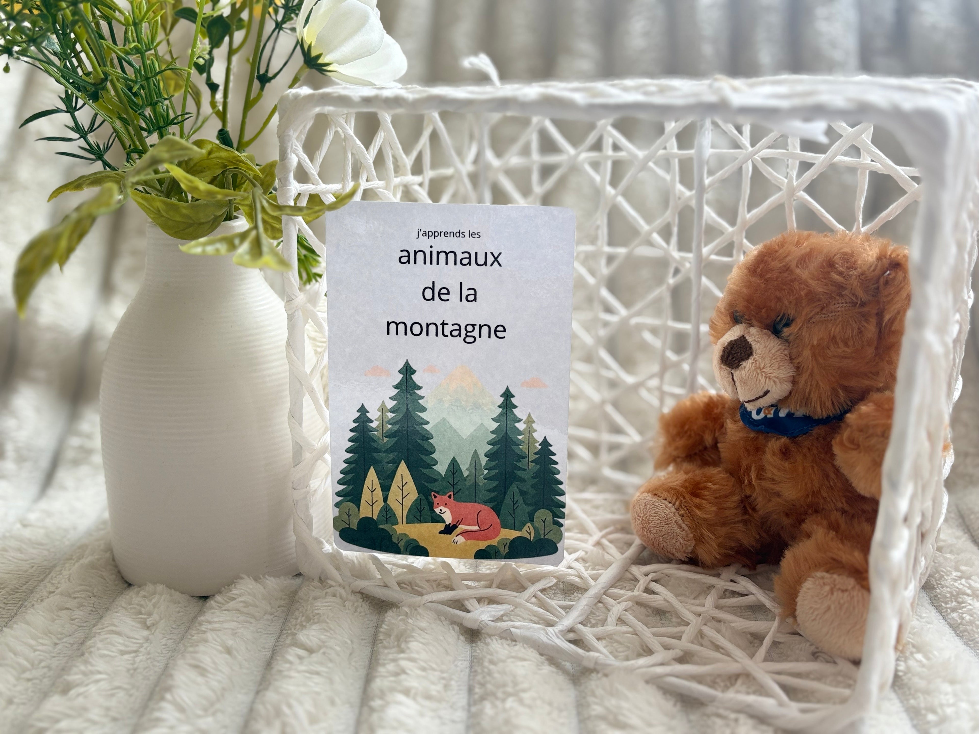 Cartes éducatives - Animaux de la montagne