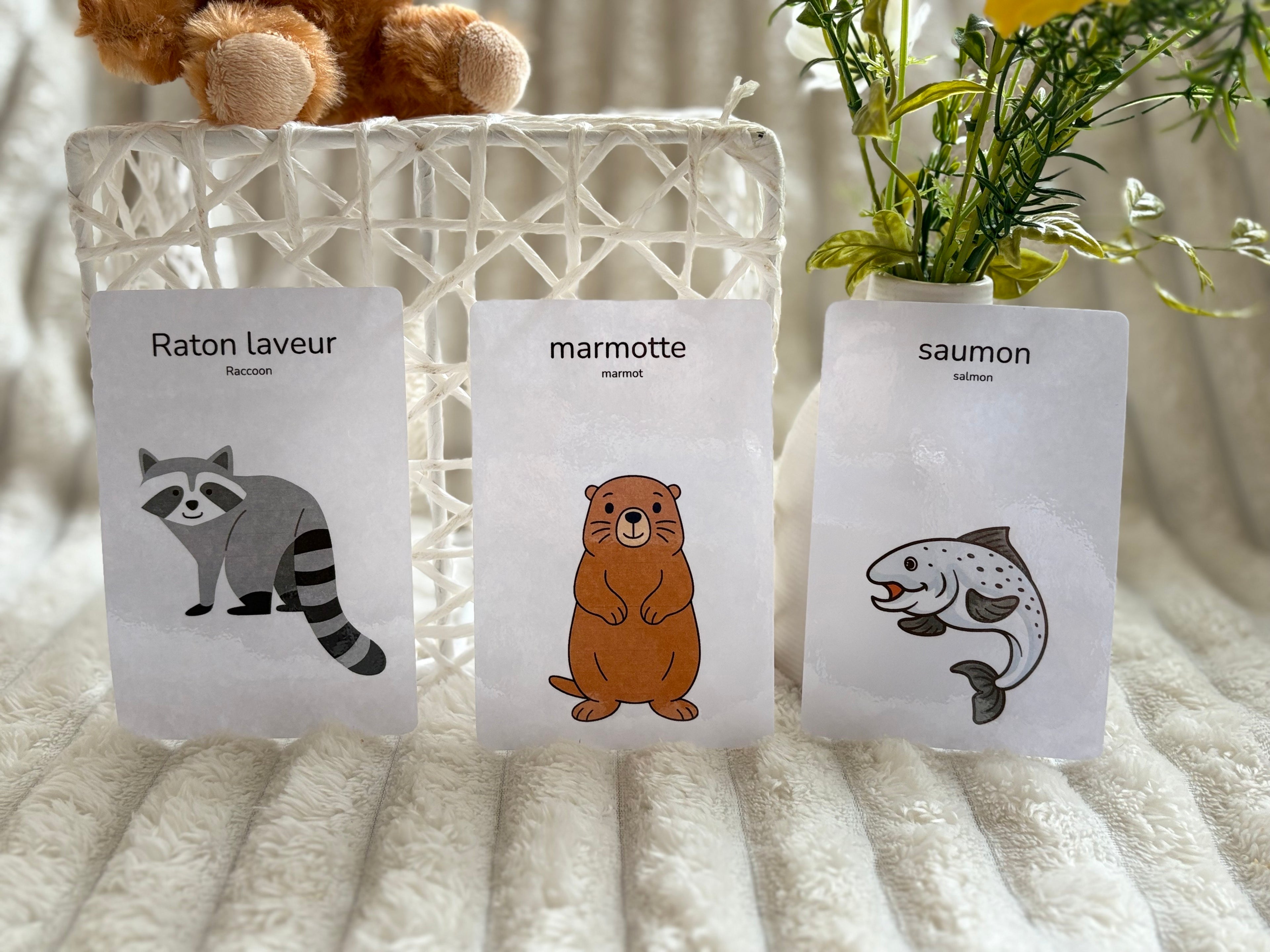 Cartes éducatives - Animaux de la montagne