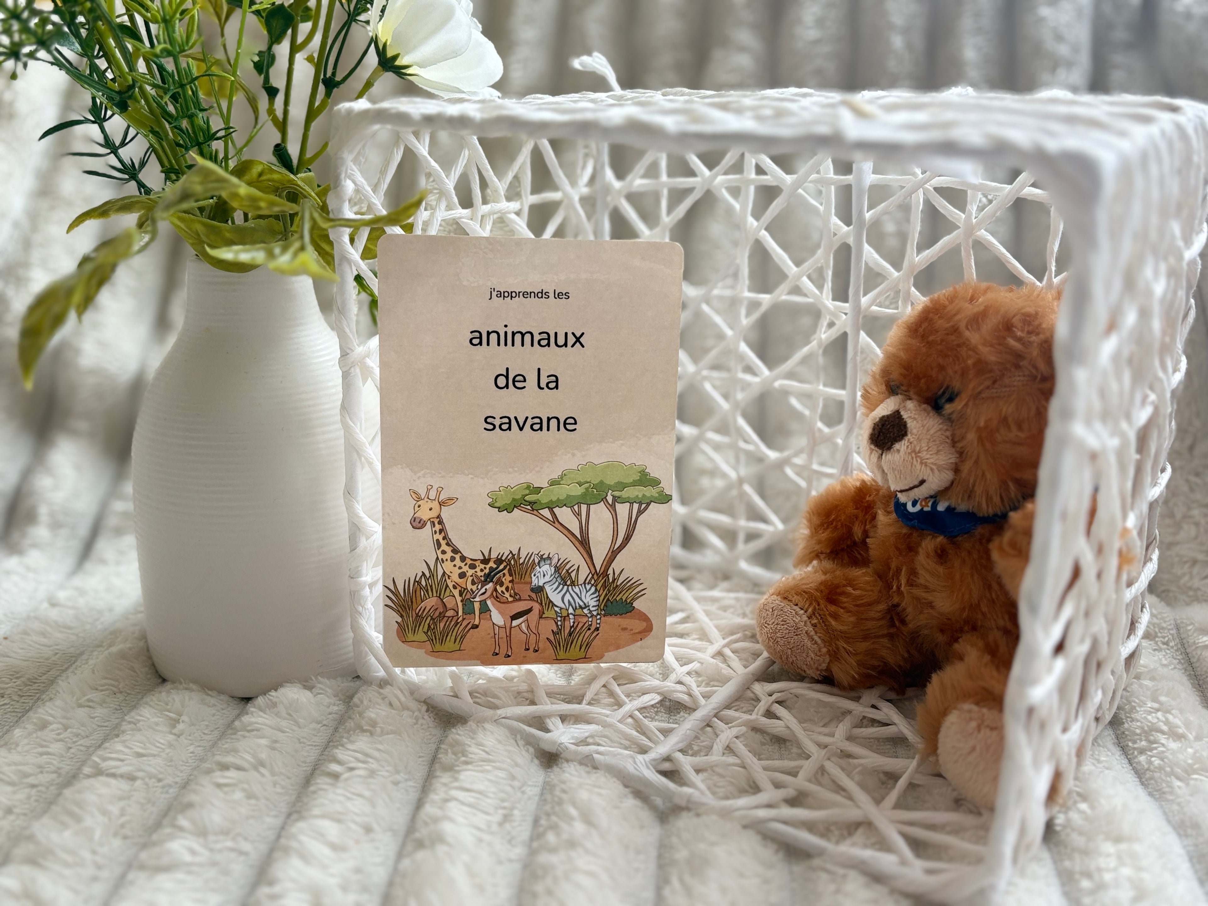 Cartes éducatives - Animaux de la savane