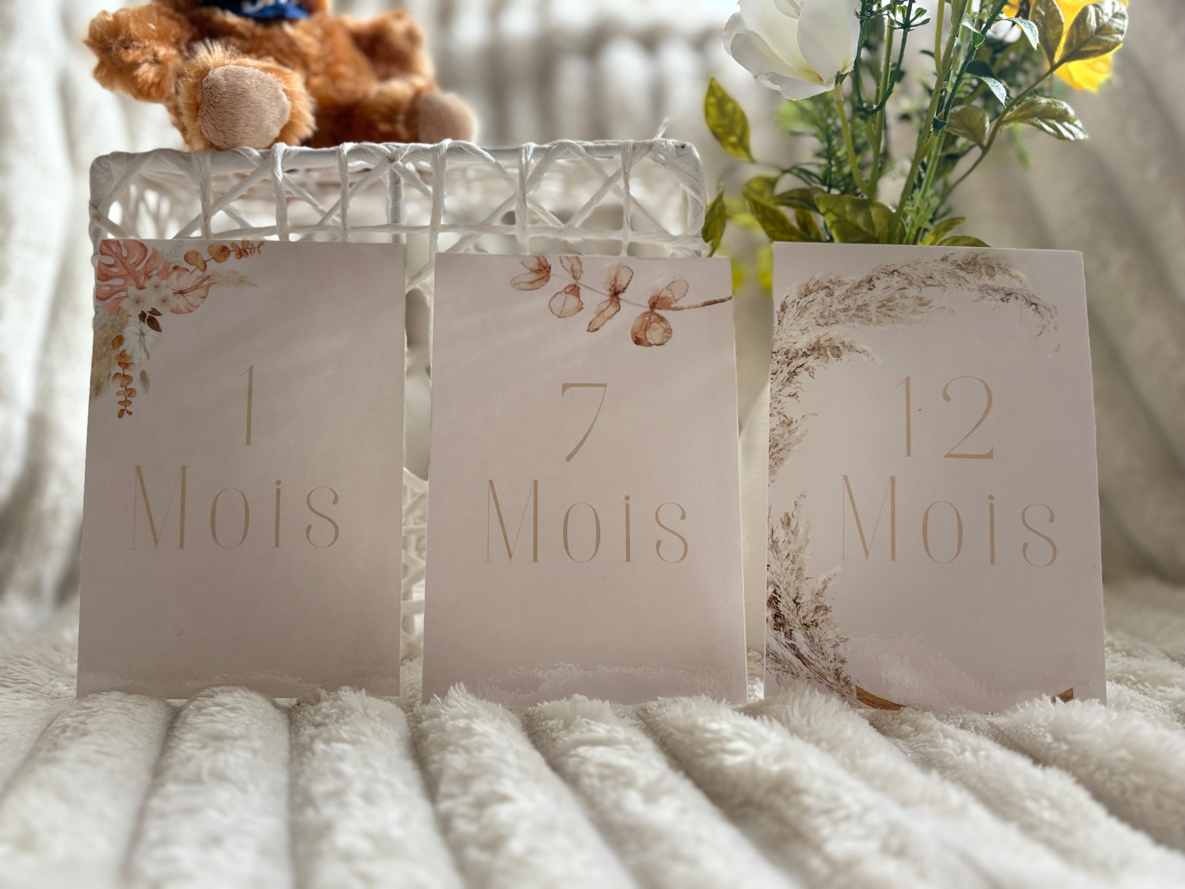 Cartes étapes de 1 à 12 mois