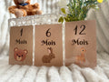 Cartes étapes de 1 à 12 mois