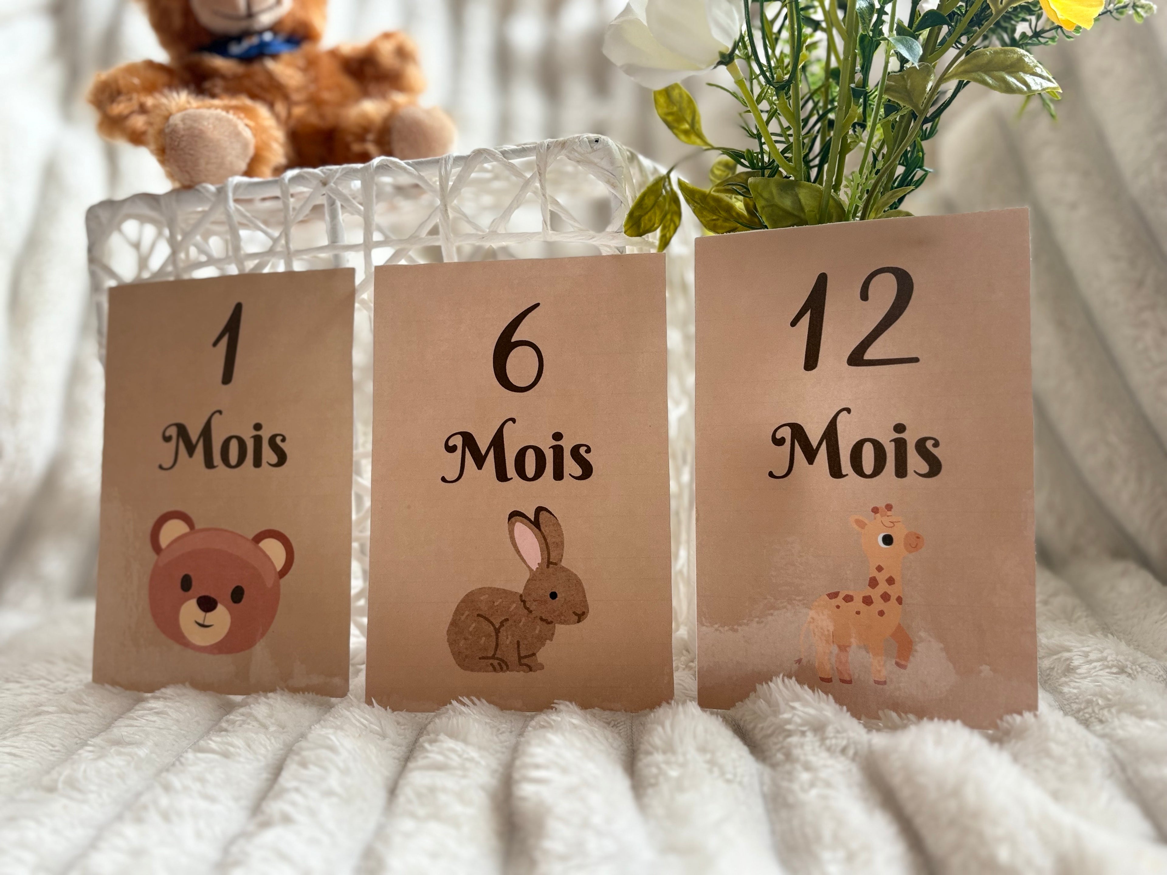 Cartes étapes de 1 à 12 mois