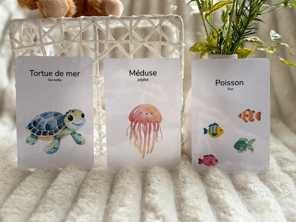 Cartes éducatives - Animaux de la mer