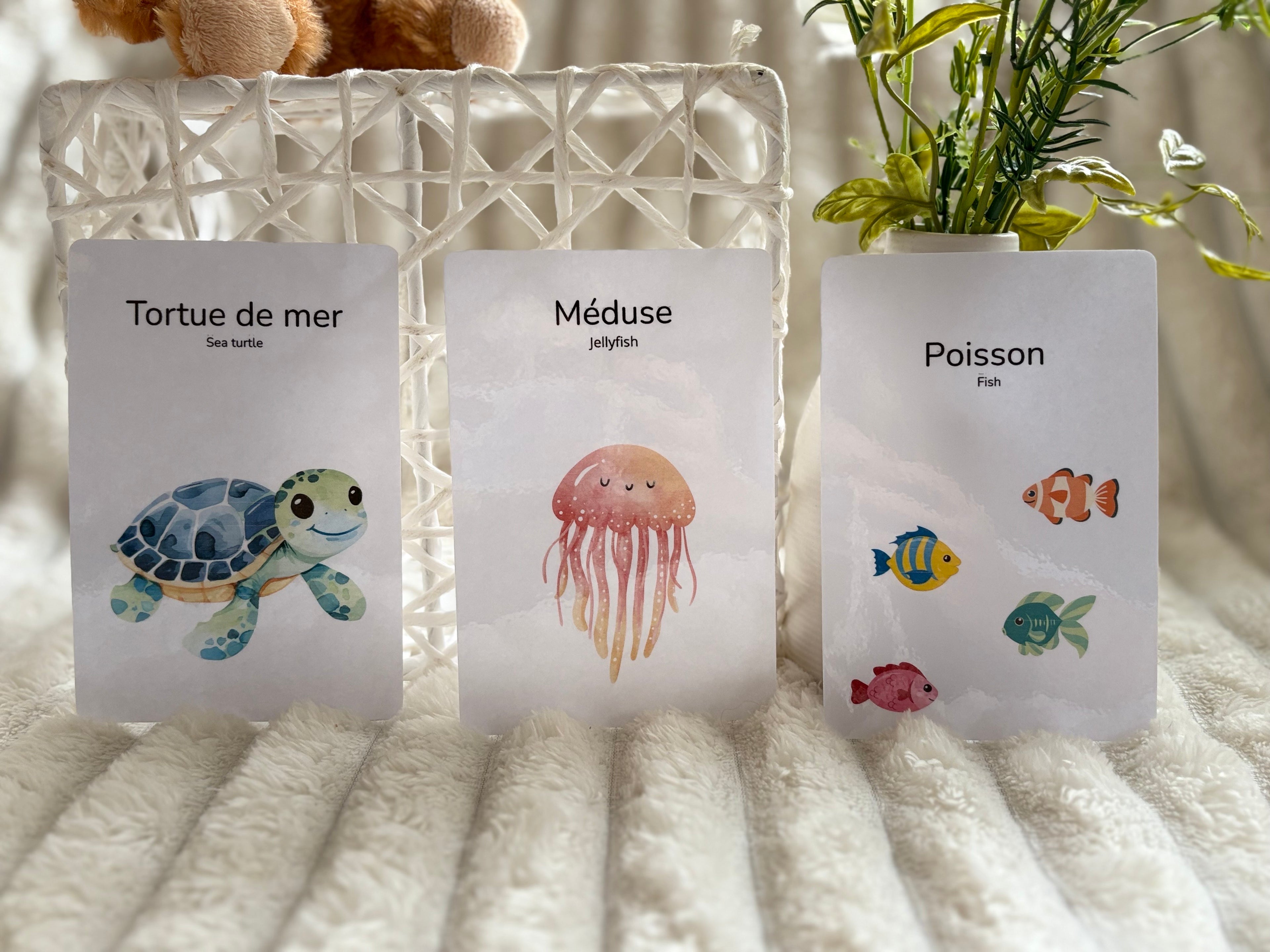 Cartes éducatives - Animaux de la mer