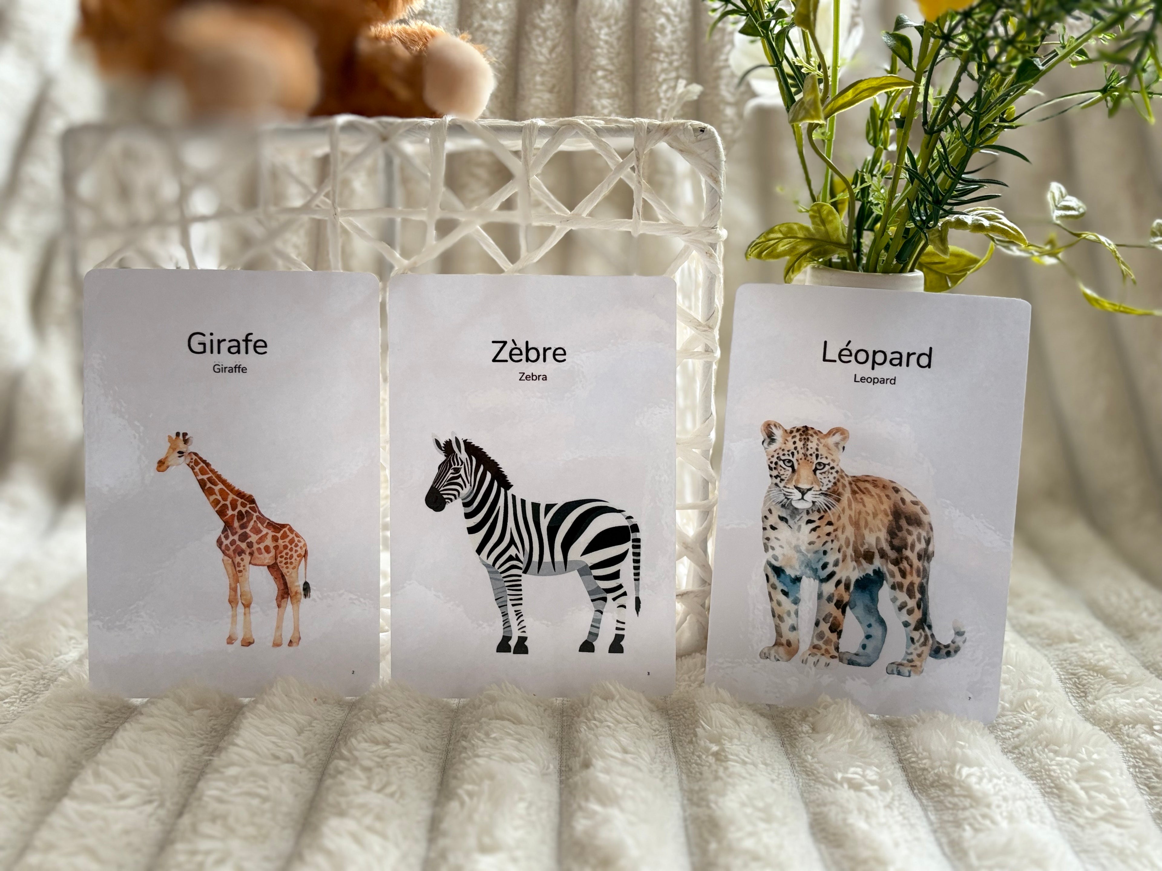 Cartes éducatives - Animaux de la savane