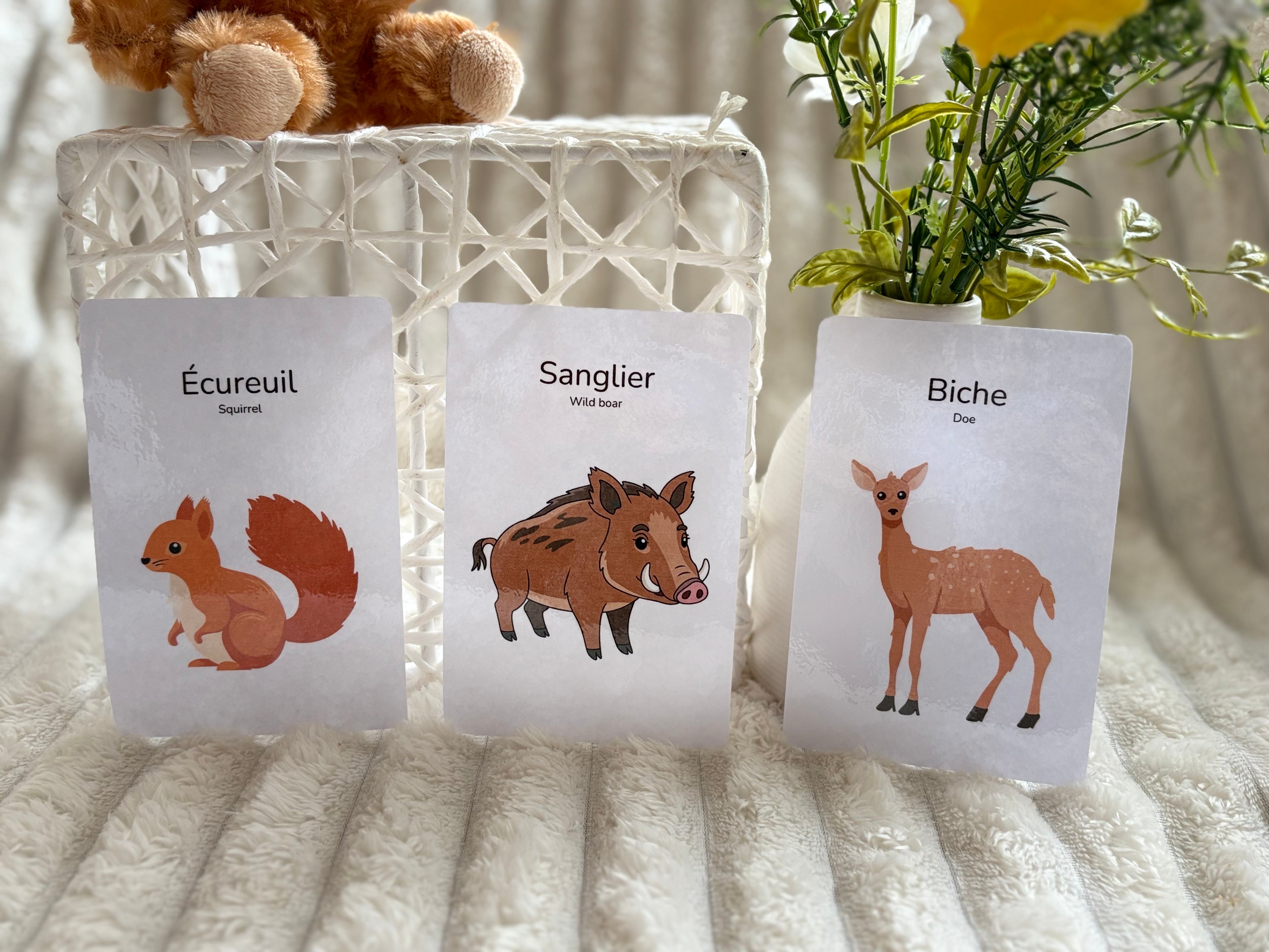 Cartes éducatives - Animaux de la forêt