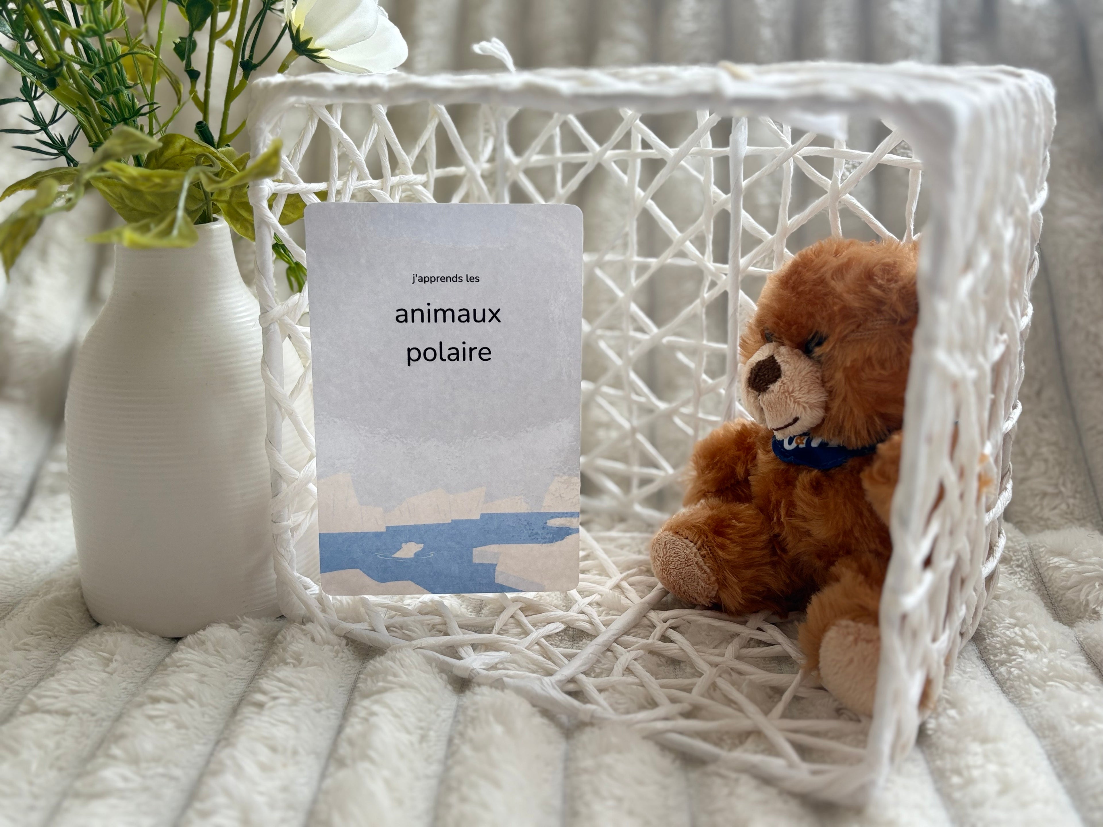 Cartes éducatives - Animaux polaires