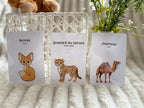 Cartes éducatives - Animaux du desert