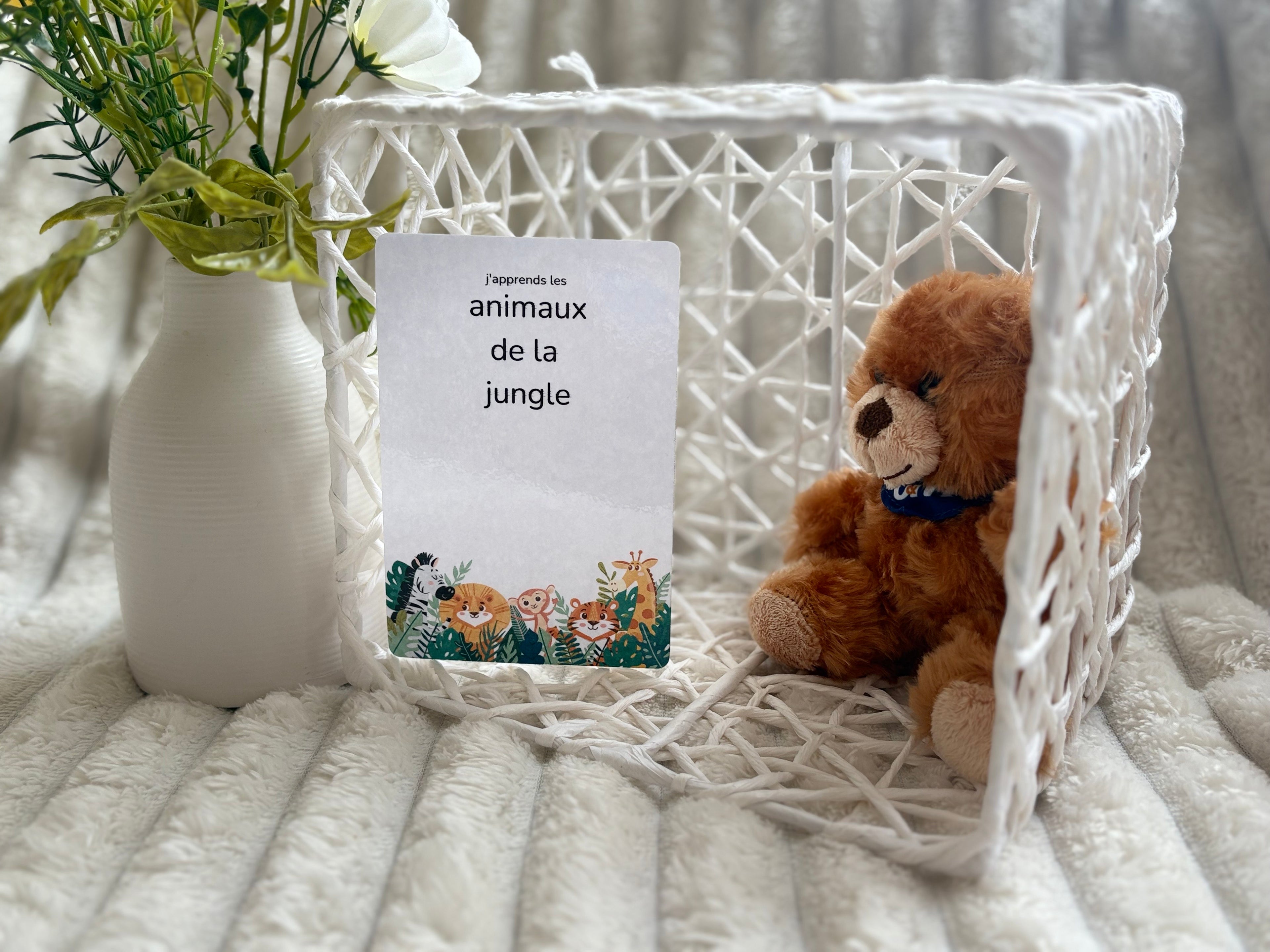 Cartes éducatives - Animaux de la jungle