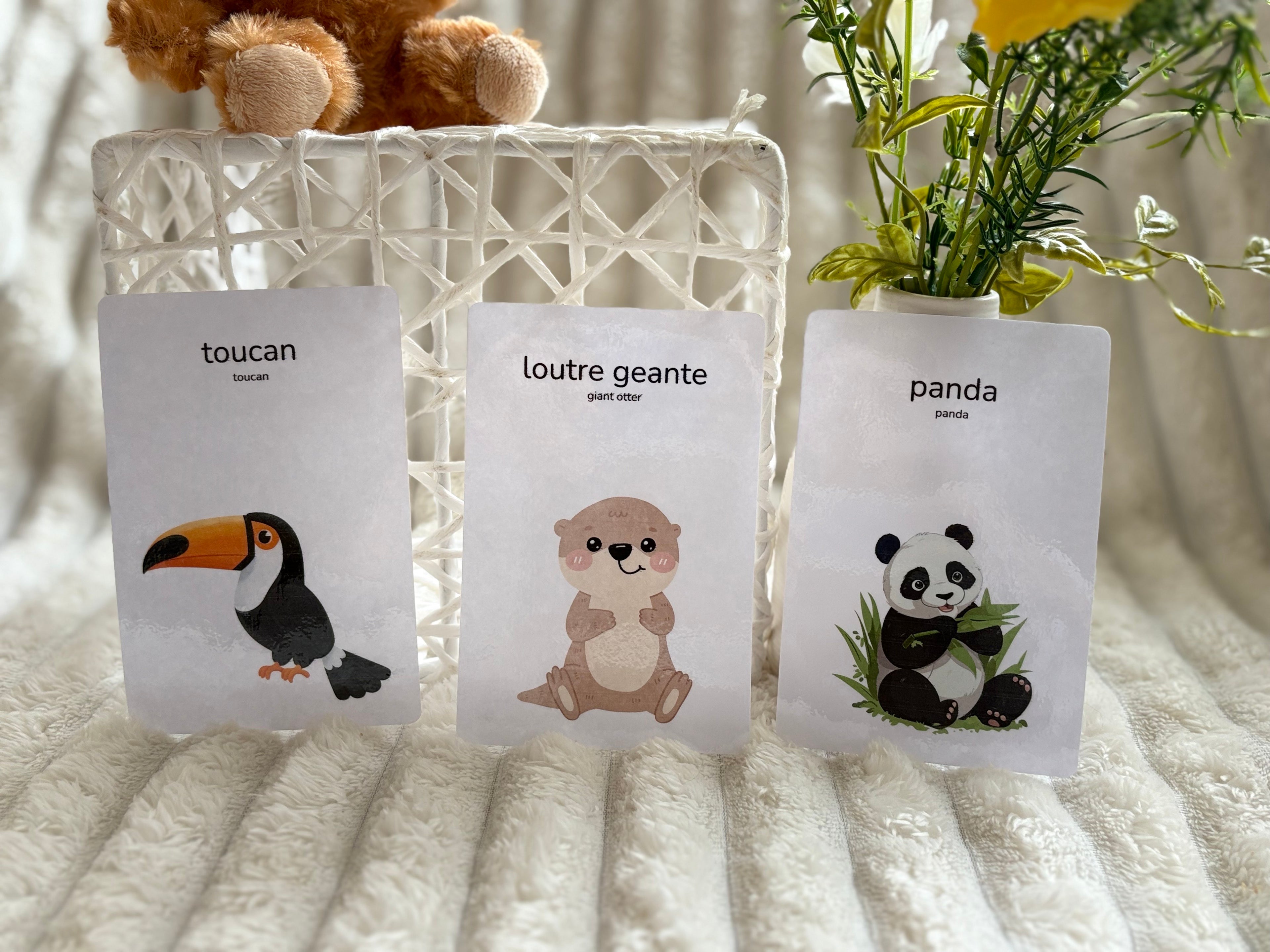 Cartes éducatives - Animaux de la jungle