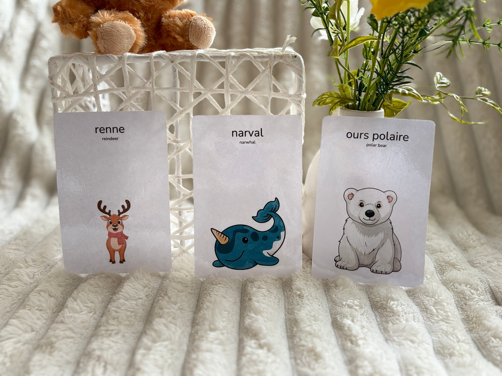 Cartes éducatives - Animaux polaires