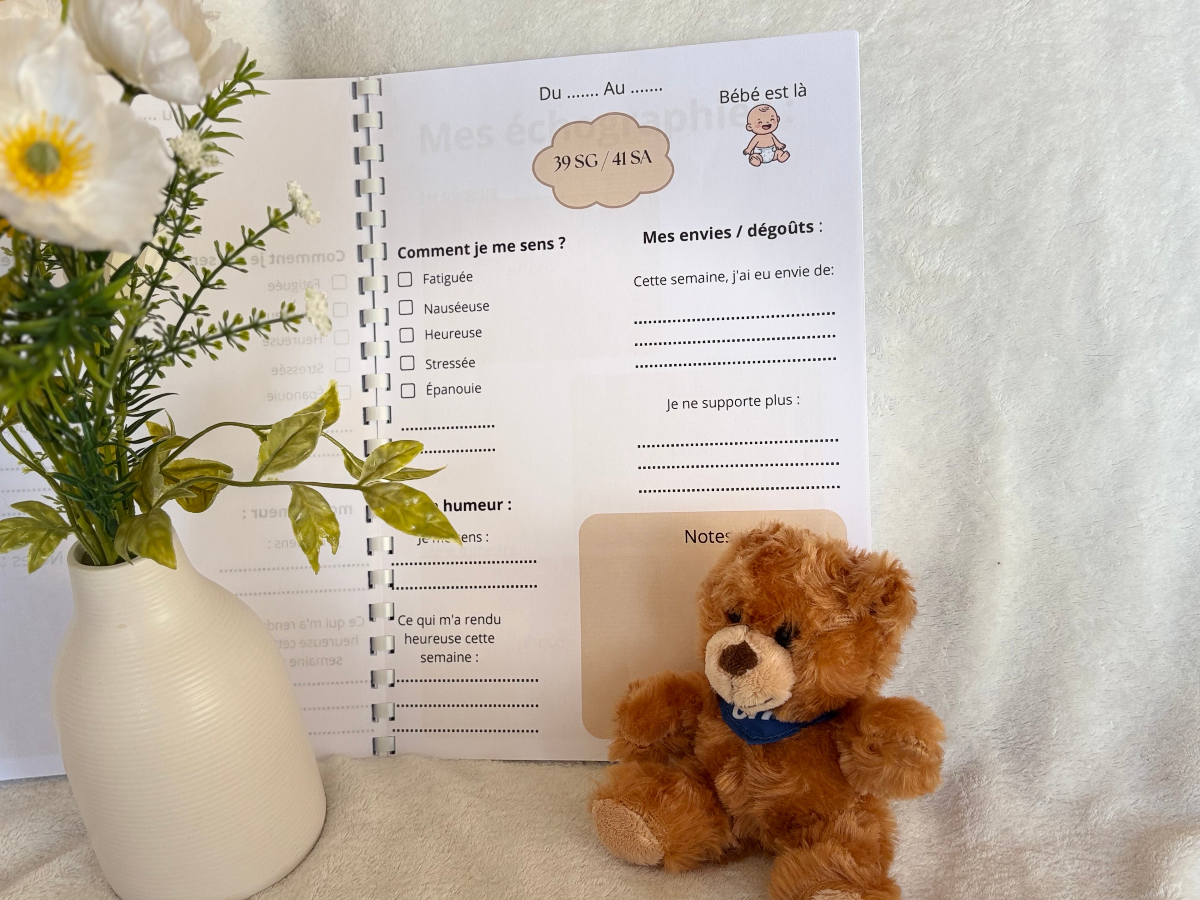 Journal de grossesse