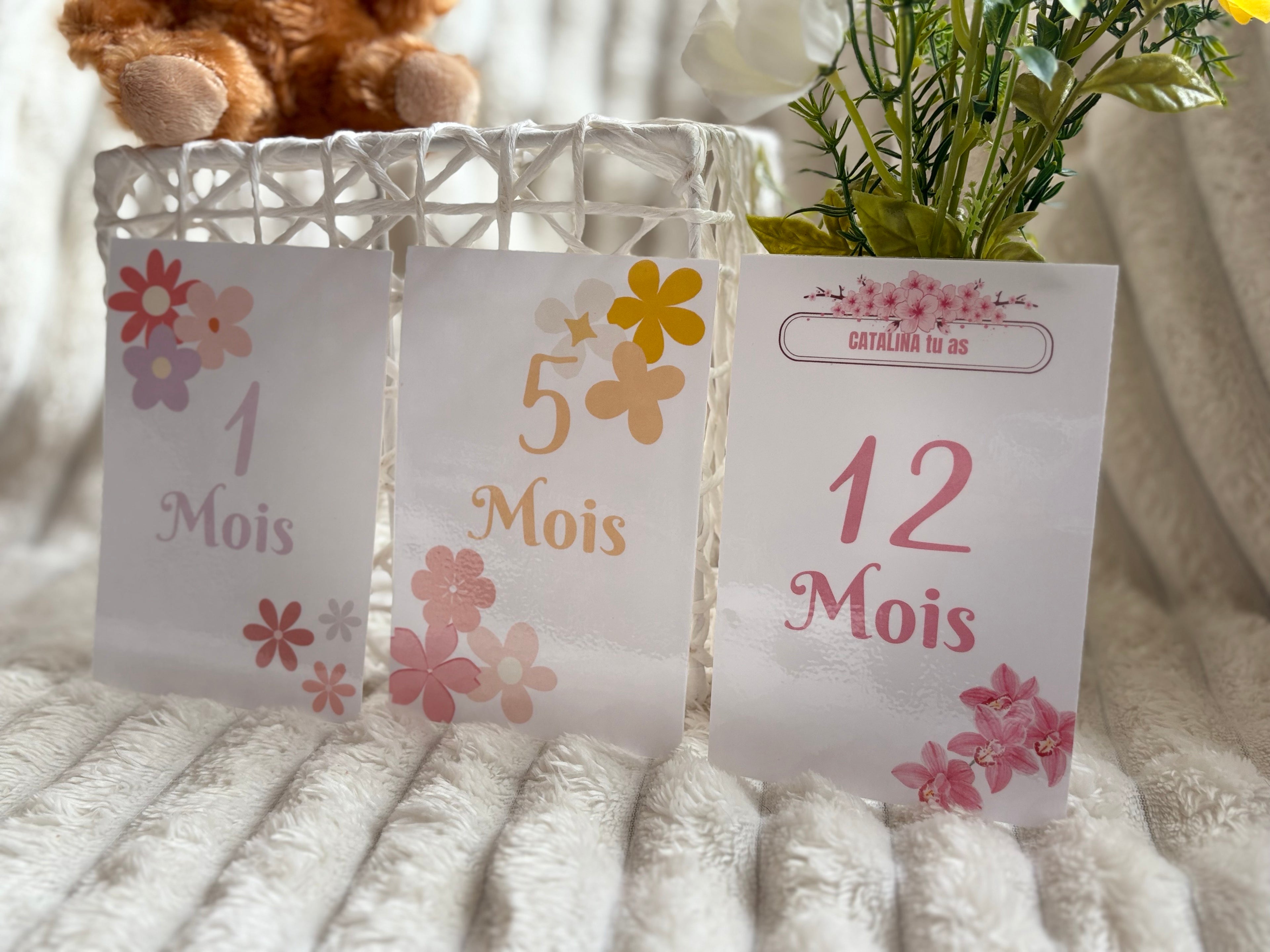 Cartes étapes de 1 à 12 mois