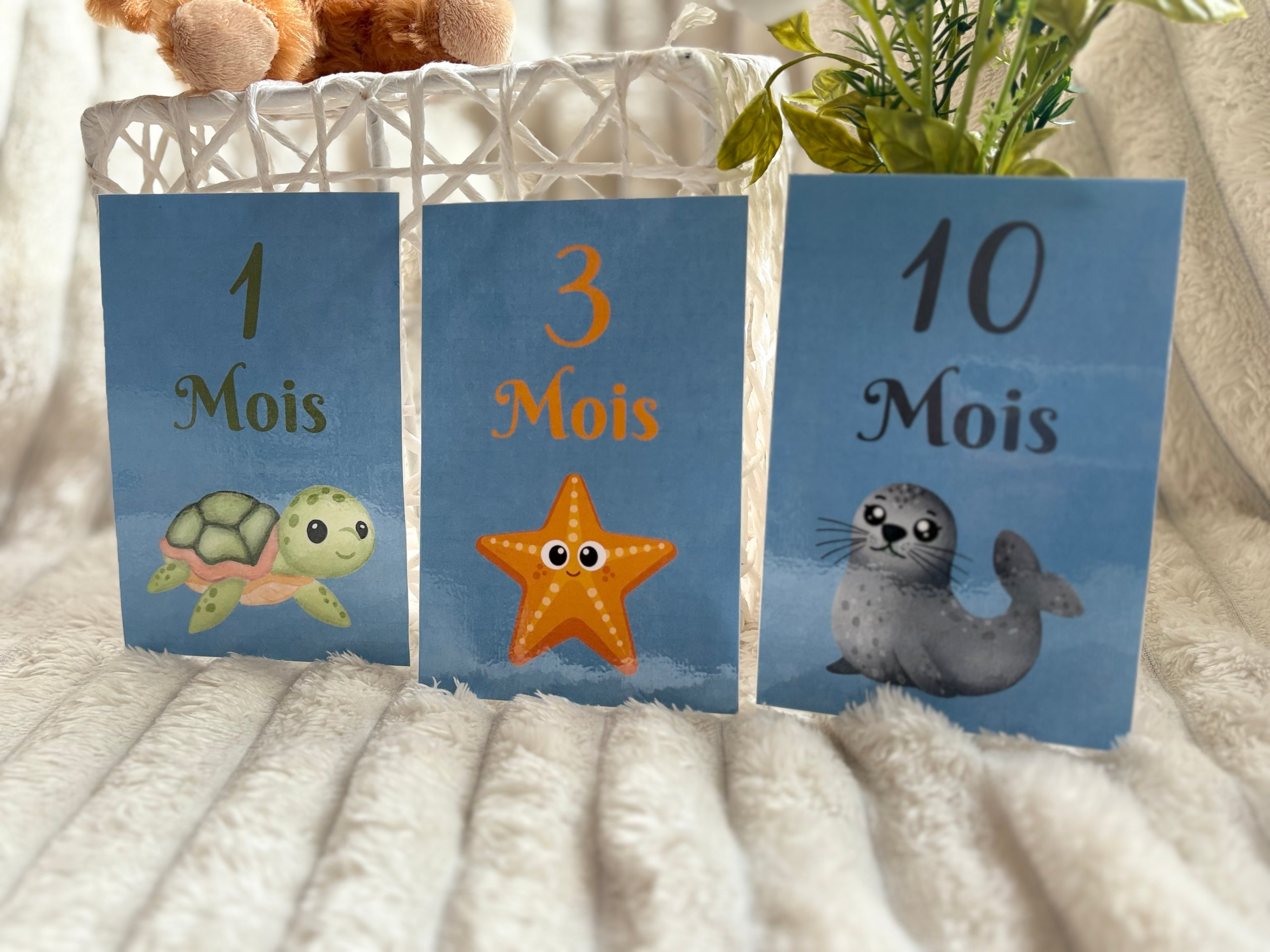 Cartes étapes de 1 à 12 mois
