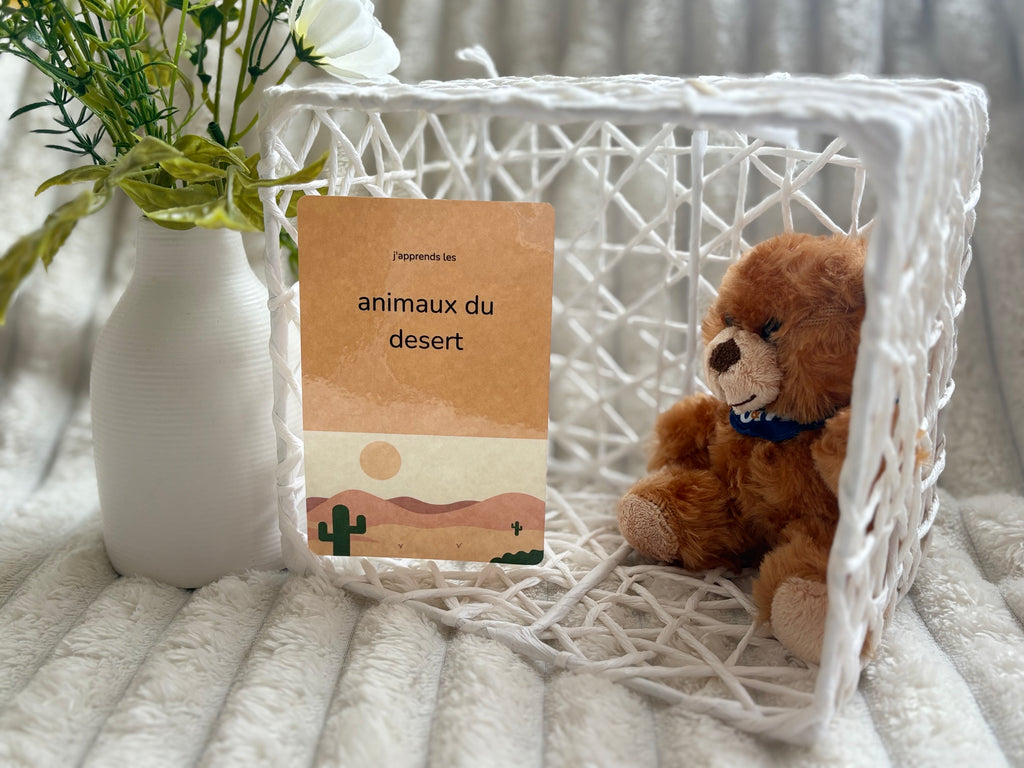 Cartes éducatives - Animaux du desert