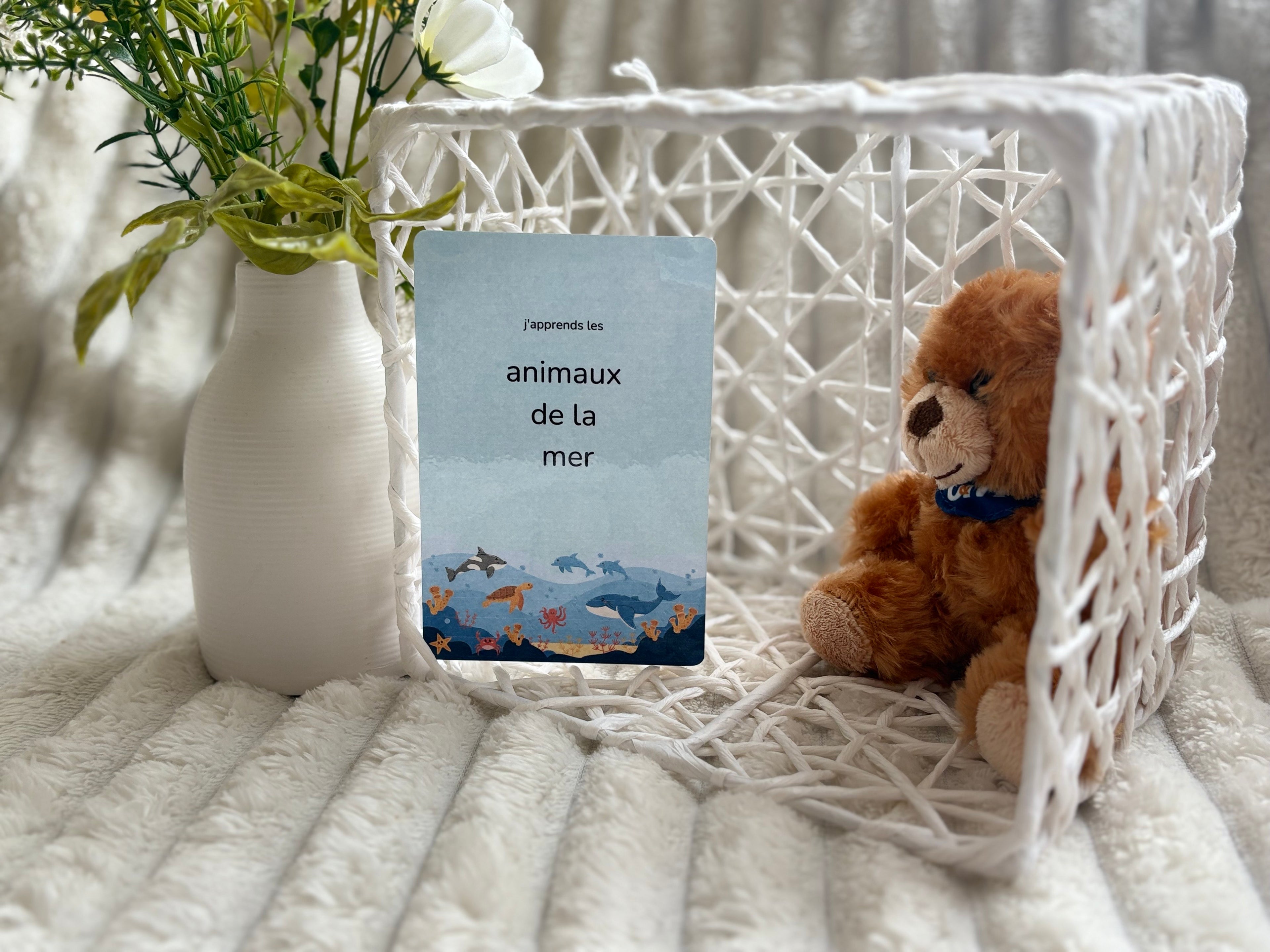 Cartes éducatives - Animaux de la mer