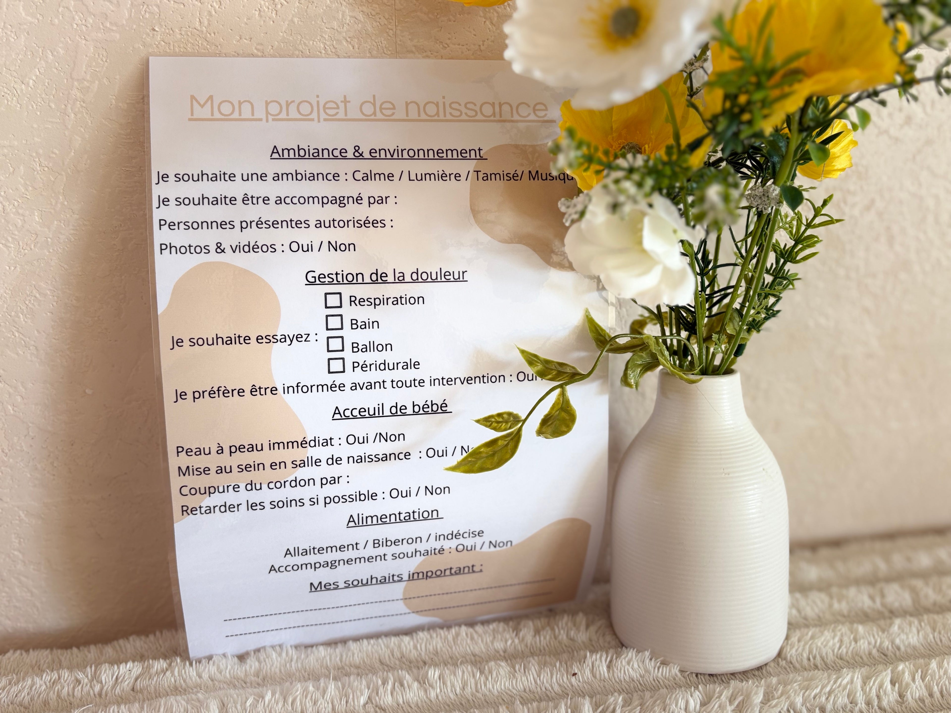 Pack maternité - journal de grossesse, checklist & projet de naissance