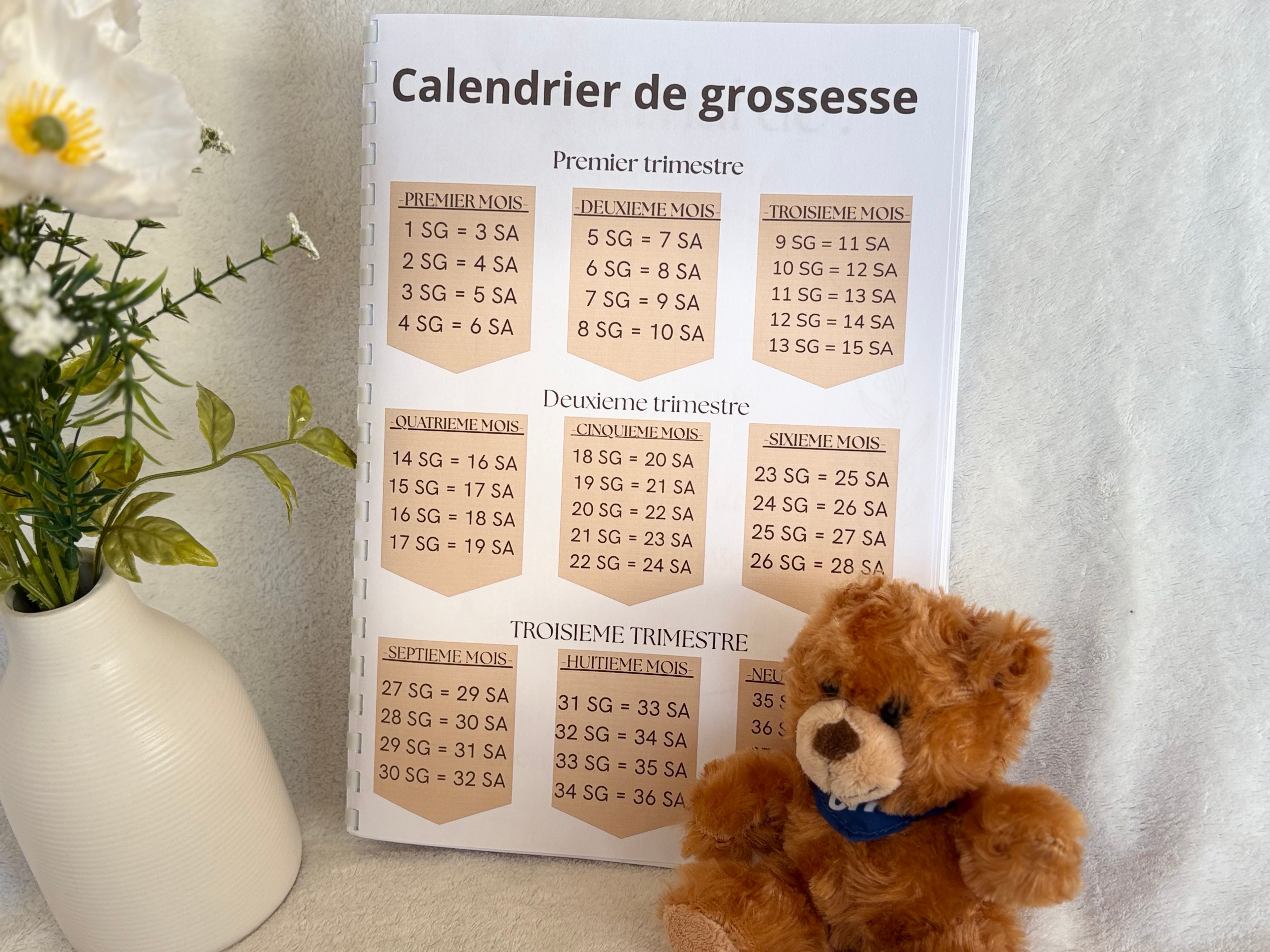 Journal de grossesse